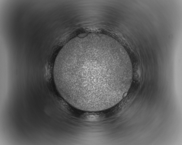 X0000096220658200802151523