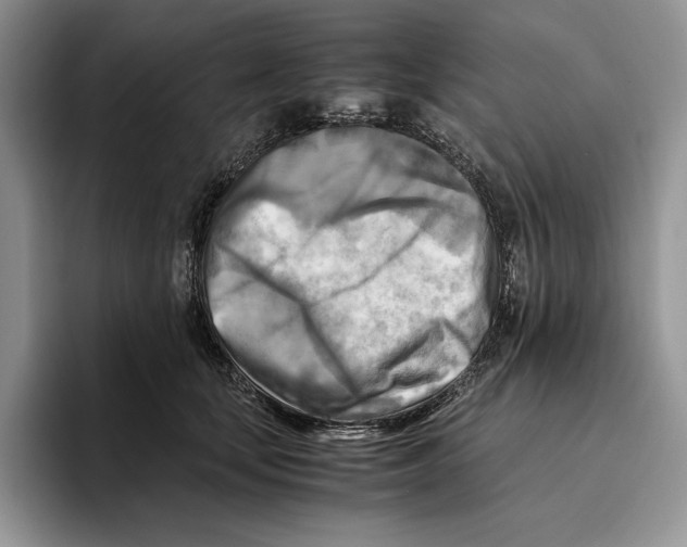 X0000096220659200802151523