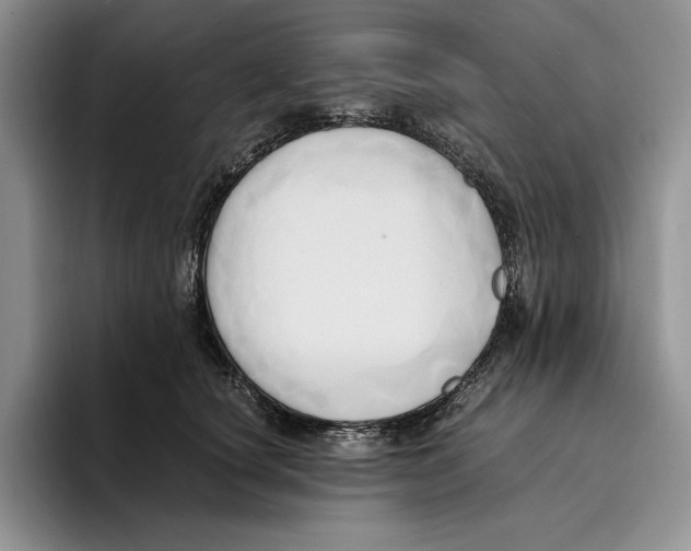 X0000096220660200802151523