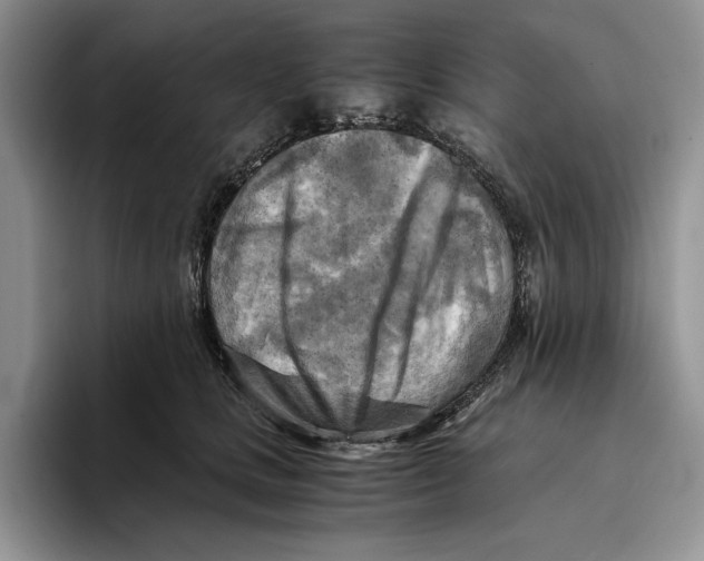 X0000096220661200802151523