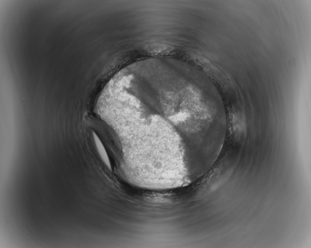 X0000096220664200802151523