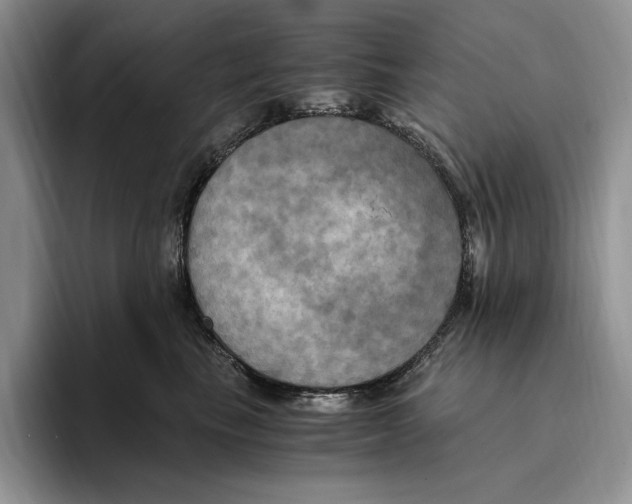 X0000096220665200802151523