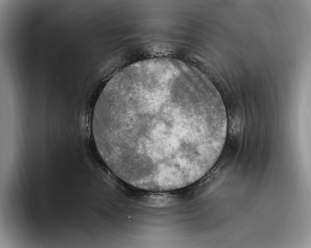 X0000096220666200802151523