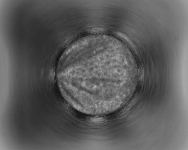 X0000096220669200802151523