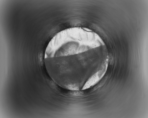 X0000096220670200802151523