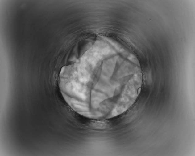 X0000096220671200802151523