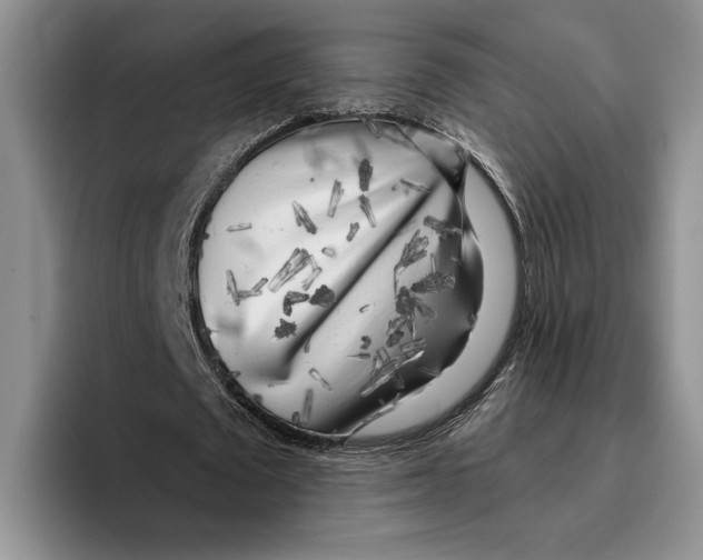 X0000096220673200802151522