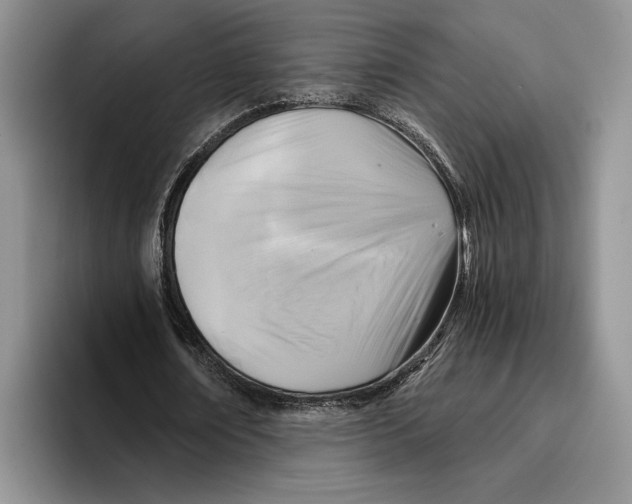 X0000096220674200802151522