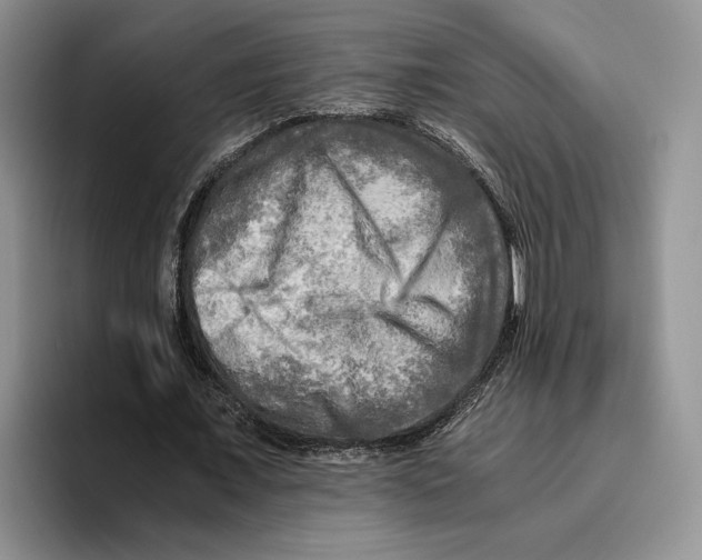 X0000096220675200802151522