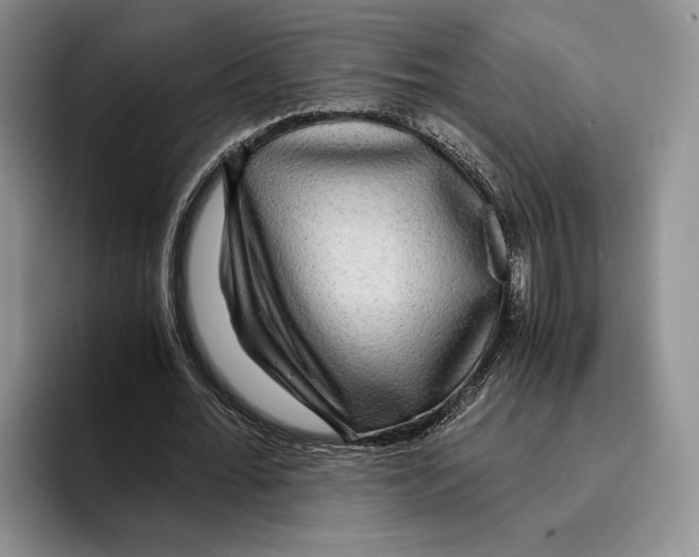 X0000096220676200802151522