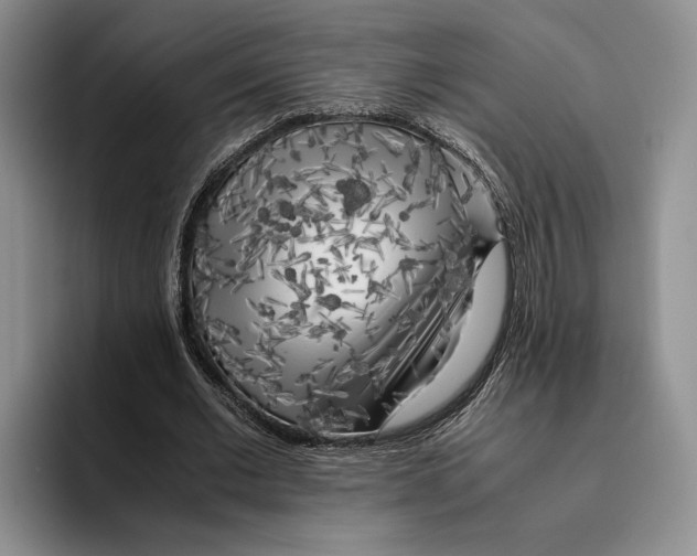 X0000096220677200802151522
