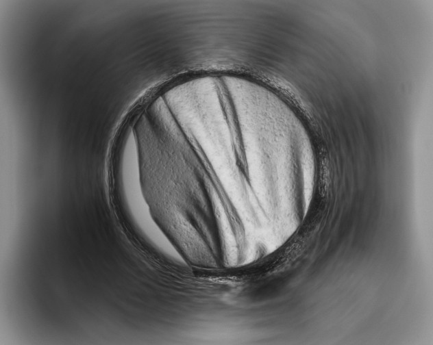 X0000096220680200802151522