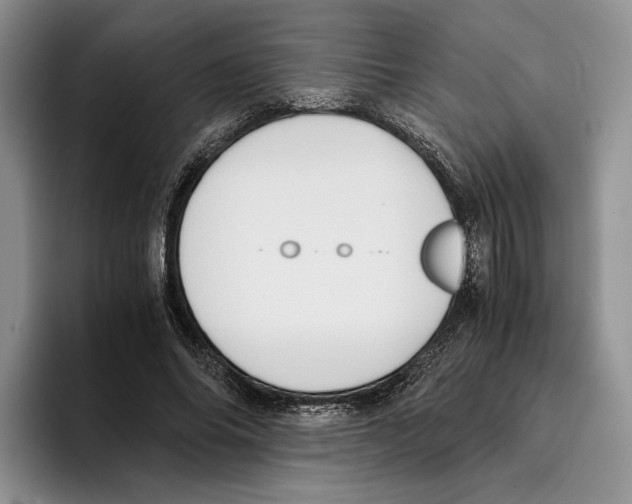 X0000096220686200802151522