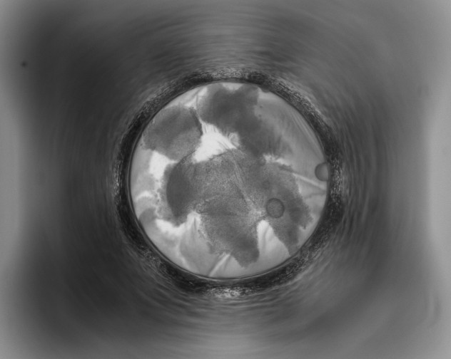 X0000096220687200802151522