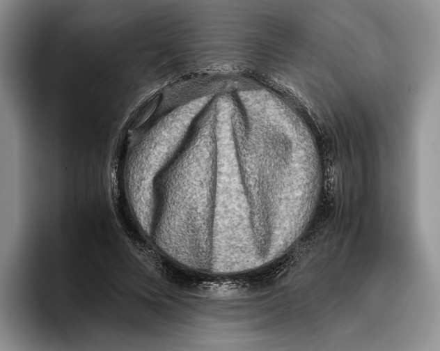 X0000096220688200802151522