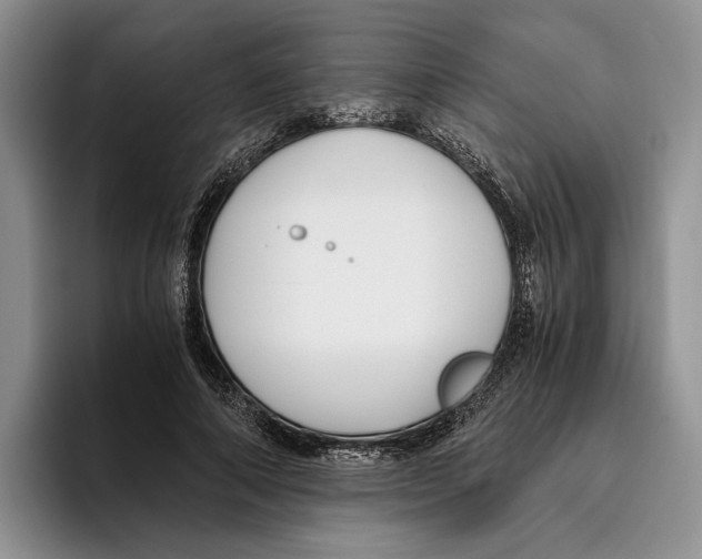 X0000096220690200802151522