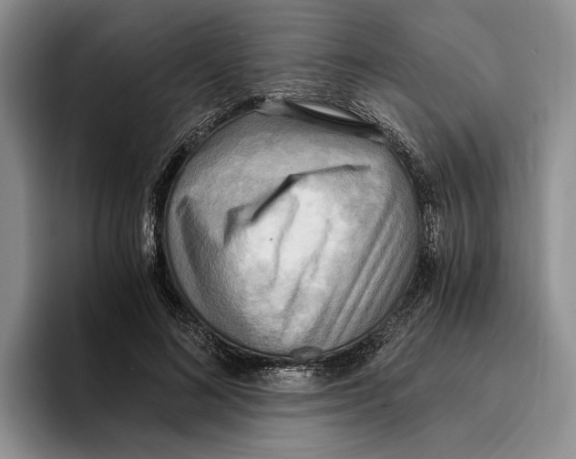 X0000096220692200802151522