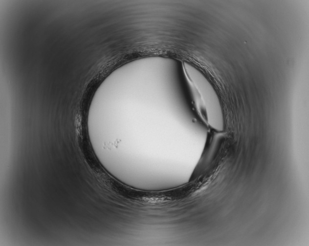 X0000096220693200802151522