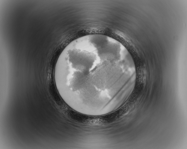 X0000096220695200802151522