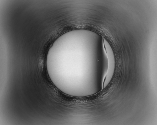 X0000096220697200802151522