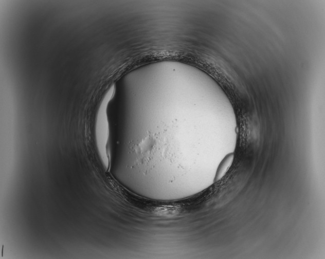 X0000096220700200802151522