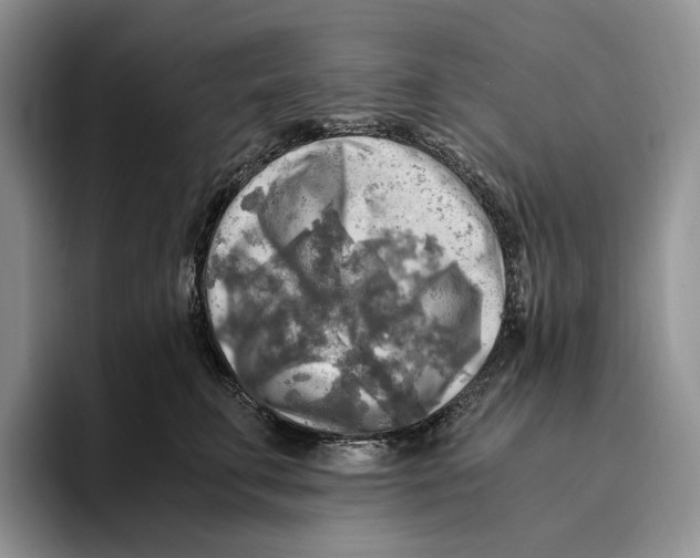 X0000096220711200802151522