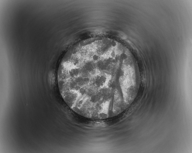 X0000096220715200802151522