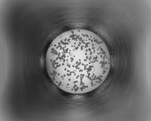 X0000096220718200802151522