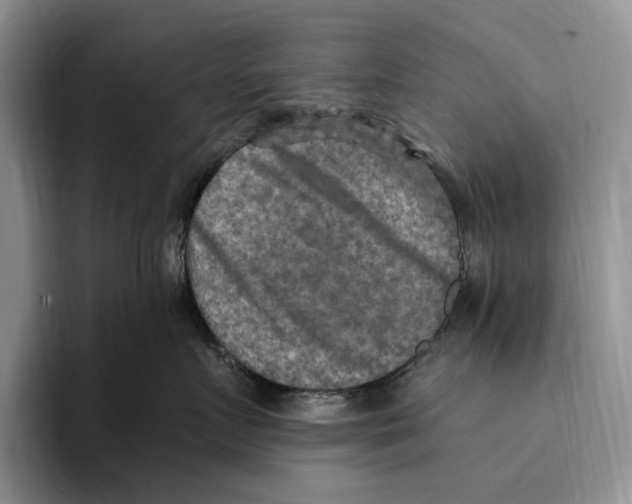 X0000096220719200802151522