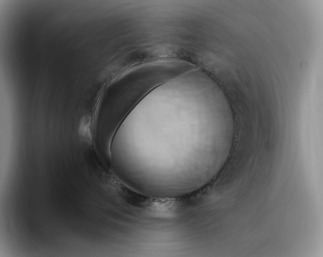X0000096220720200802151522