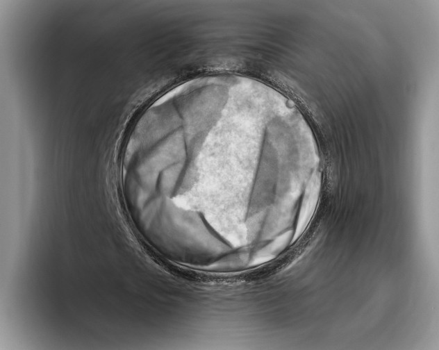 X0000096220721200802151521