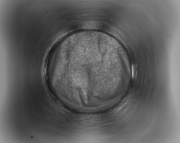 X0000096220723200802151521