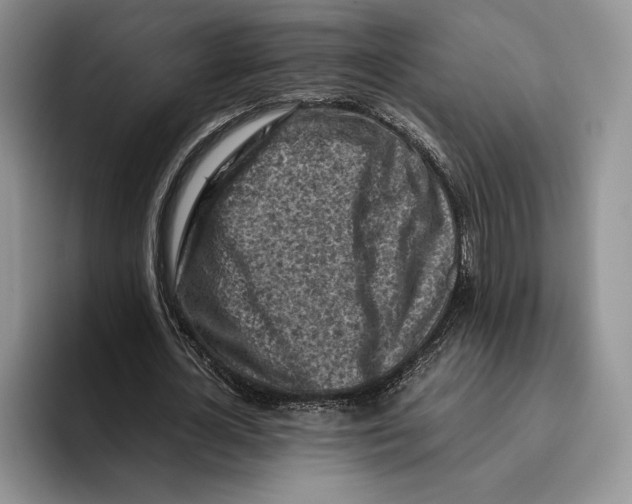 X0000096220724200802151521