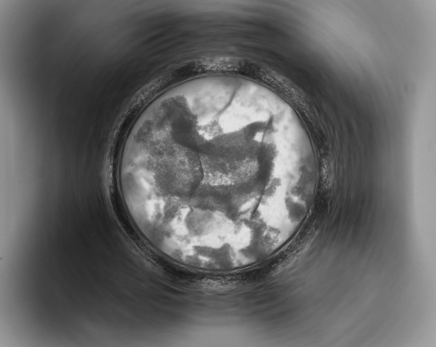 X0000096220725200802151521