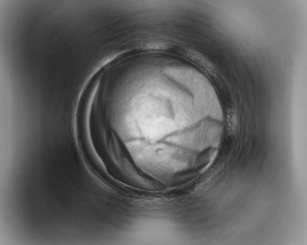 X0000096220726200802151521