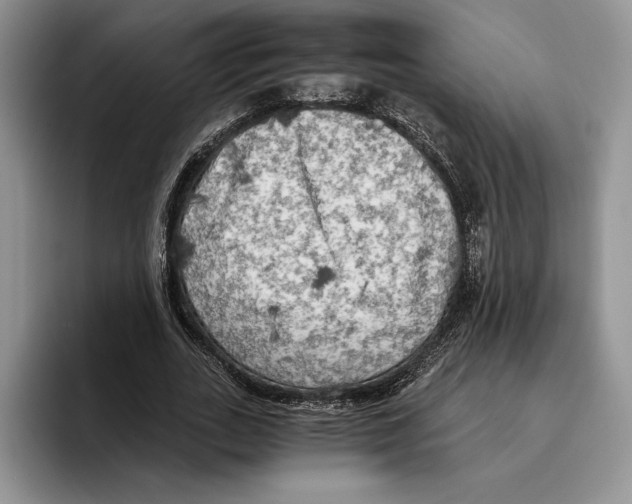 X0000096220727200802151521