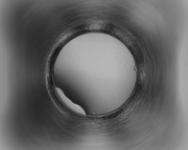 X0000096220728200802151521