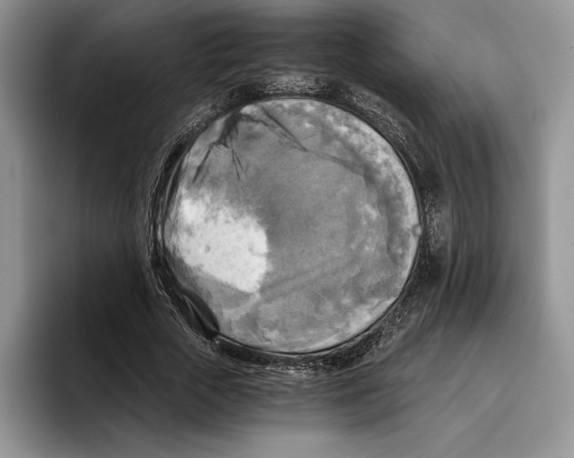 X0000096220729200802151521