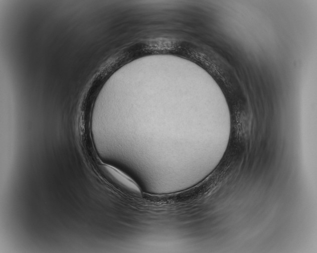 X0000096220731200802151521