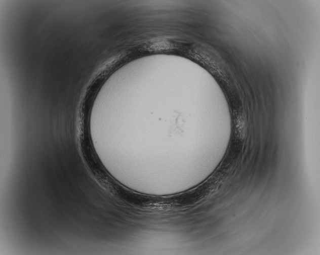 X0000096220732200802151521