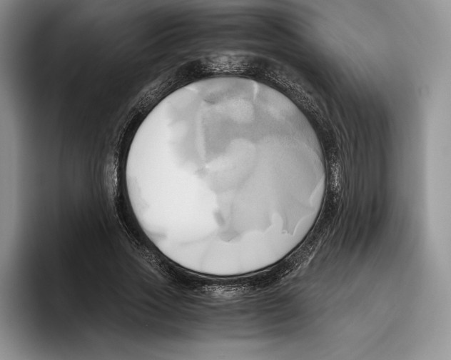 X0000096220733200802151521