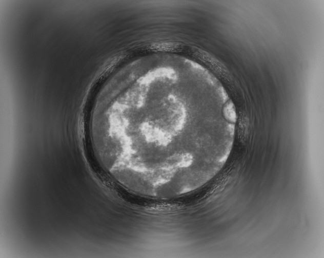 X0000096220734200802151521