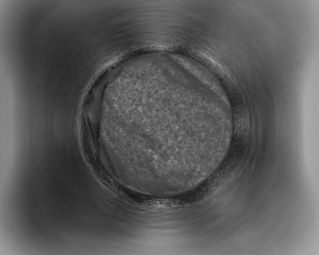 X0000096220736200802151521