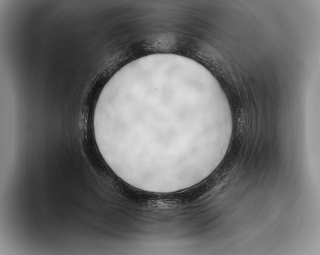 X0000096220739200802151521