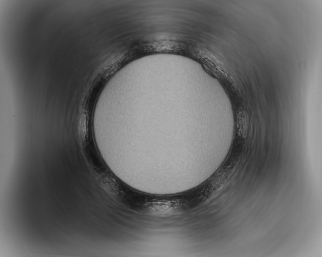 X0000096220740200802151522