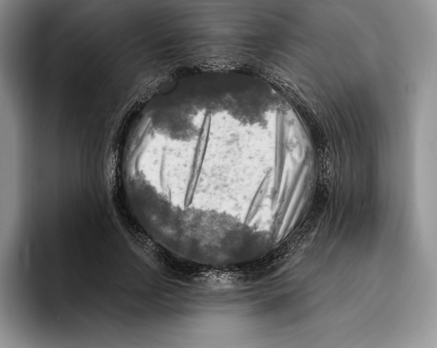 X0000096220742200802151522
