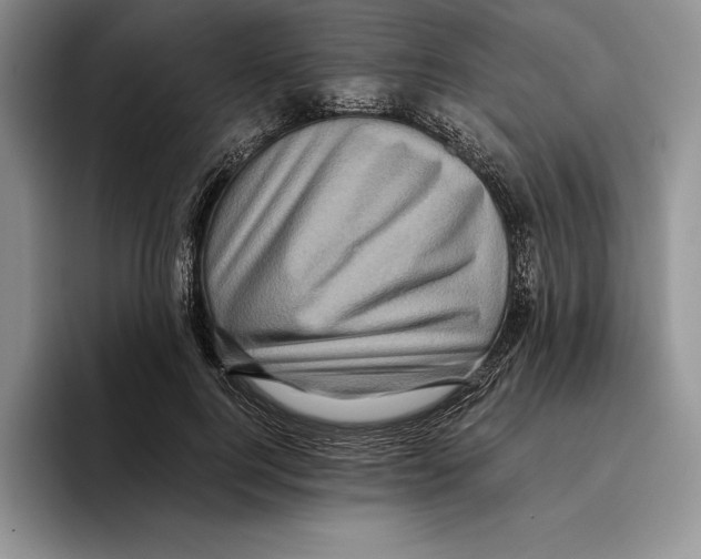 X0000096220744200802151522