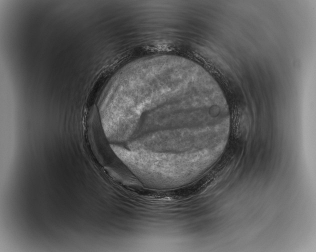 X0000096220747200802151522