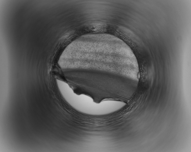 X0000096220748200802151522