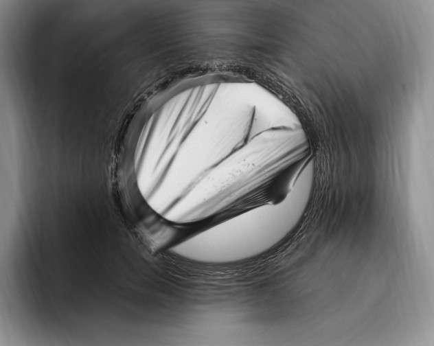 X0000096220750200802151522